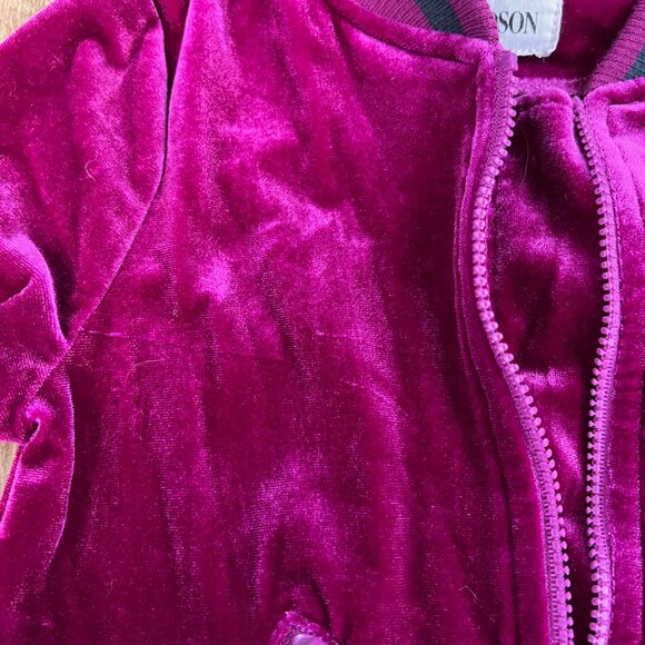 Hudson Pink Velour Infant Girl Track Jacket Full-Zip Baby Size 24M - Picture 4 of 10